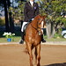 Candice Rush Photo 12