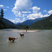 Lisa Baxter Photo 19