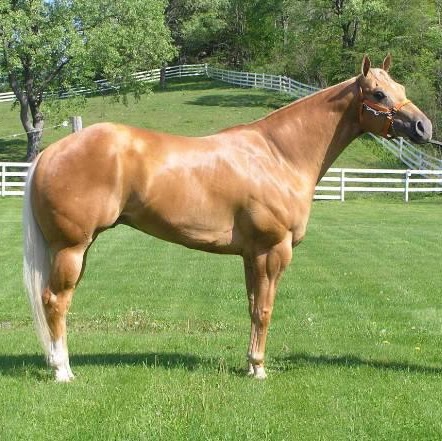 Kathryn Labarre Photo 5