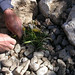 Richard Plante Photo 19