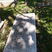 Laurel Butler Photo 13