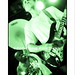 Joseph Osborne Photo 41