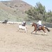 Ed Witt Photo 15