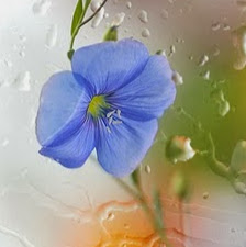Maria Garay Photo 12