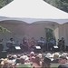 Sheri Page Photo 24
