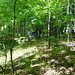 Wanda Woods Photo 38