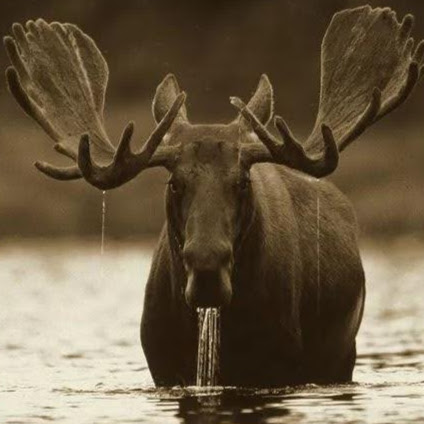 Allen Maynard Photo 16