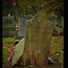 Mary Combs Photo 20
