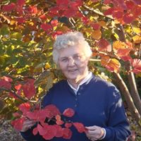Nancy Mcdermott Photo 10
