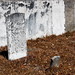 Martha Greene Photo 26