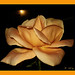 Rose Martinez Photo 18