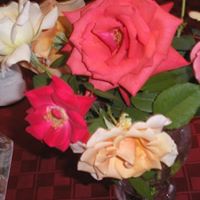 Barbara Bunting Photo 20