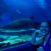 Suzanne Shark Photo 8