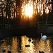 Dawn Osborne Photo 39