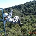 Elizabeth Monteverde Photo 7