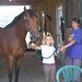 Judy Ratcliffe Photo 16