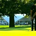 Don Coghill Photo 3
