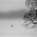 Ralph Hudson Photo 18