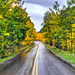 Autumn Bell Photo 34