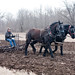 Tom Wold Photo 24