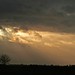 Ray Maxey Photo 7