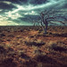 Jason Lloyd Photo 36