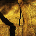 Carmen Walls Photo 10