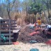 Laura Buzzell Photo 8