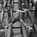 Andira Torres Photo 9