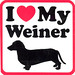 Anthony Wiener Photo 6