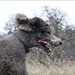 Roger Weeks Photo 18