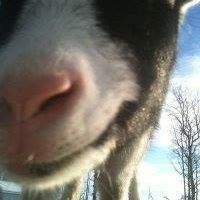 Gina Huber Photo 23