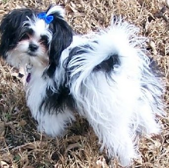 Dorothy Bishop Photo 8