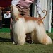 Joann Jones Photo 41