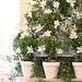 Susan Martens Photo 25