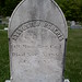 Robert Sylvester Photo 28