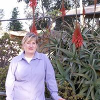Joann Allen Photo 41
