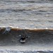 Bradley Barry Photo 9