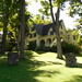 Sharon York Photo 22