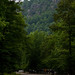 Albert Summers Photo 10