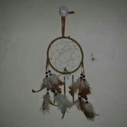Charlton Johnson Photo 22
