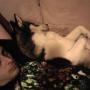 William Connor Photo 27