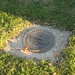 Mary Nichols Photo 8