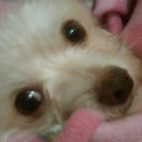Candace Coffman Photo 8