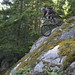 Barry Wood Photo 33