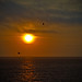 Dawn Kerr Photo 30