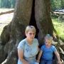 Brenda Browning Photo 23