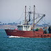 Mark Eisen Photo 24