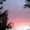 Patricia Keene Photo 31
