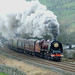 Charles Appleby Photo 26